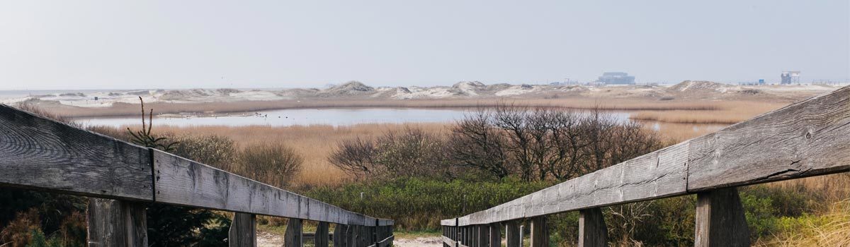 wooden steps to lake